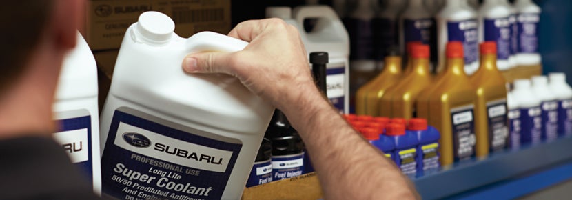 Picture of Subaru Super Coolant. | Grand Forks Subaru in Grand Forks ND