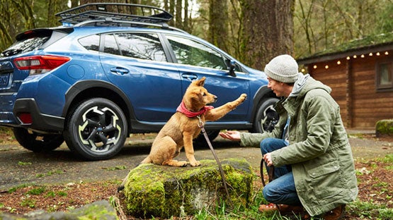 Grand Forks Subaru in Grand Forks ND